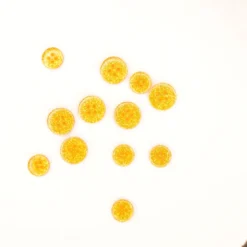 Bouton glitter rond Or - 4 trous