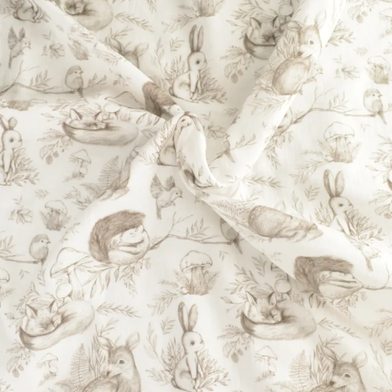 Double gaze animaux de la foret fond blanc