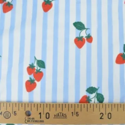 Pul contact alimentaire motifs rayures bleues et fraises - motif exclusif