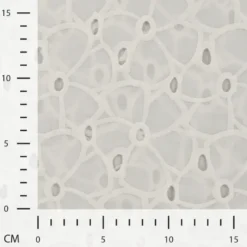 Tissu broderie anglaise blanc cassé – Motif fleurs larges
