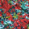 Tissu coton enduit Capucine motif fleurs rouges