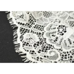 Tissu Galon dentelle ivoire .