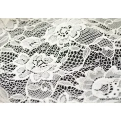 Tissu Galon dentelle ivoire .