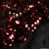 Tissu Sequin Rouge sur velours noir