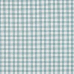 Tissu vichy grands carreaux sur Popeline Céladon - OEKO TEX